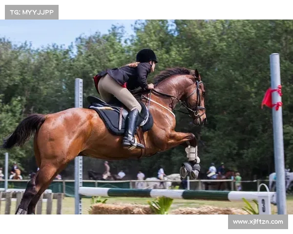 如何根据赛事要求和马匹特点选择适合的马匹参加上海马术赛事